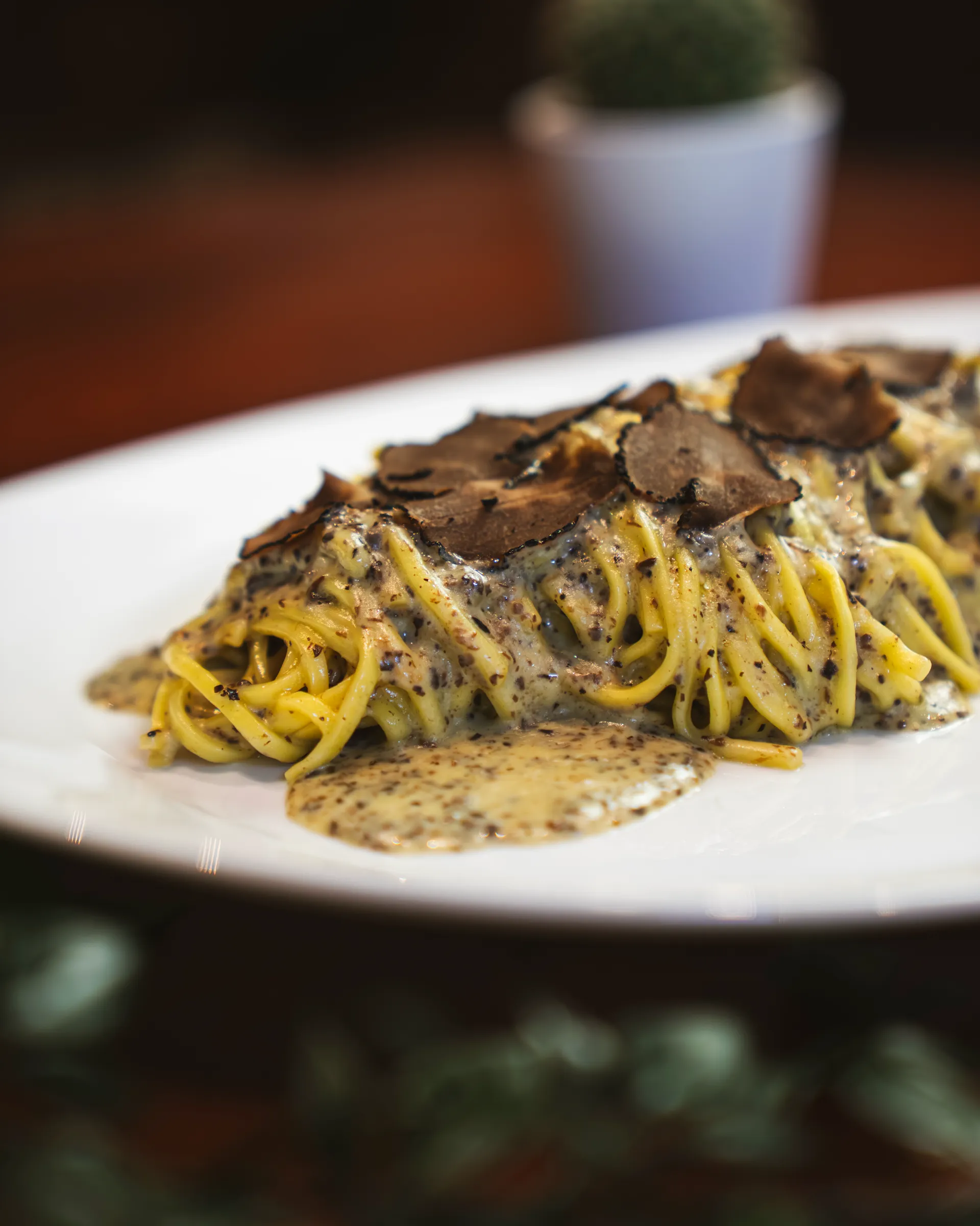 Spaghetti in a pale sauce under shaved black truffle, on a white plate, with green leaves out of focus behind.