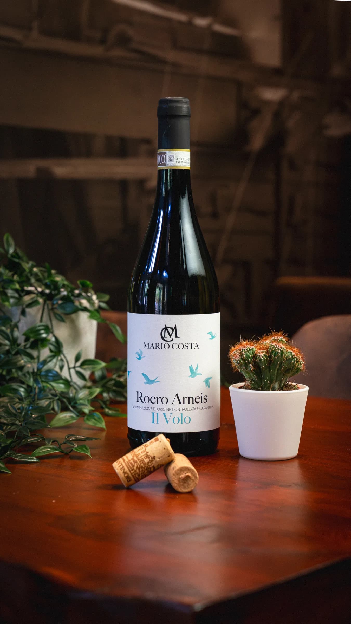 A bottle of red wine and its cork on a wooden table, a small cactus and a plant beside it.