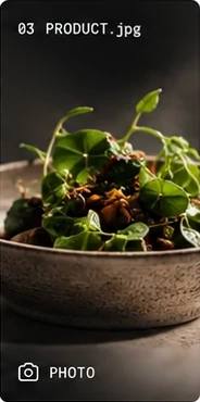 A stone bowl of roasted grains under a tangle of fresh leaves.