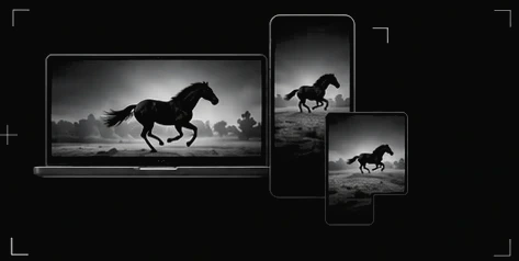 The same film of a running horse on a laptop, a phone and a tablet.